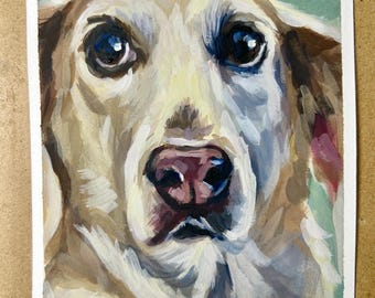 Retrato de mascota en pintura gouache