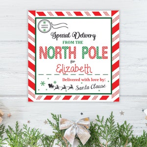 Custom Name Personalized Christmas Gift Printable Stickers Labels From Santa | Special Delivery Stickers | Digital Download