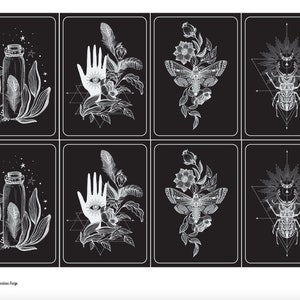 May include: A set of six black and white illustrations featuring a variety of mystical and nature-inspired designs. The illustrations include a hand with an eye, a moth, a beetle, a bottle with a feather, and a variety of floral elements.