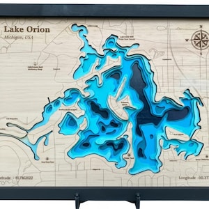 Mappa topografica personalizzata del lago Michigan incisa al laser, arte murale 3D con cornice rustica