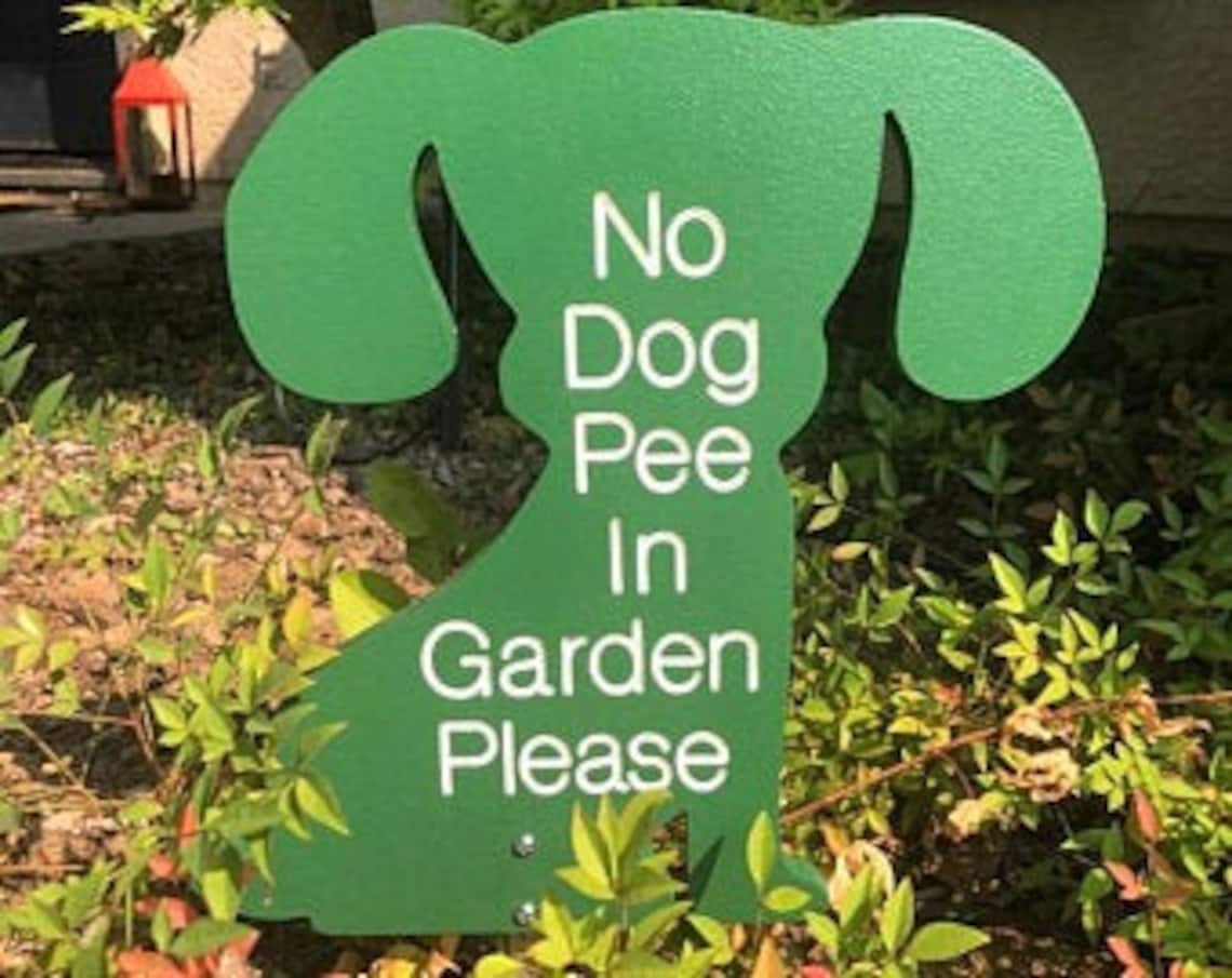No Dog Pee in Garden Please Paint Yourself Wood Yard Art Sign Etsy