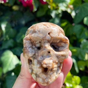 Medium Chocolate Calcite Skull: 2&#39; Tall, So Many Druzy Caves, Crystal Carving, and Home Decore