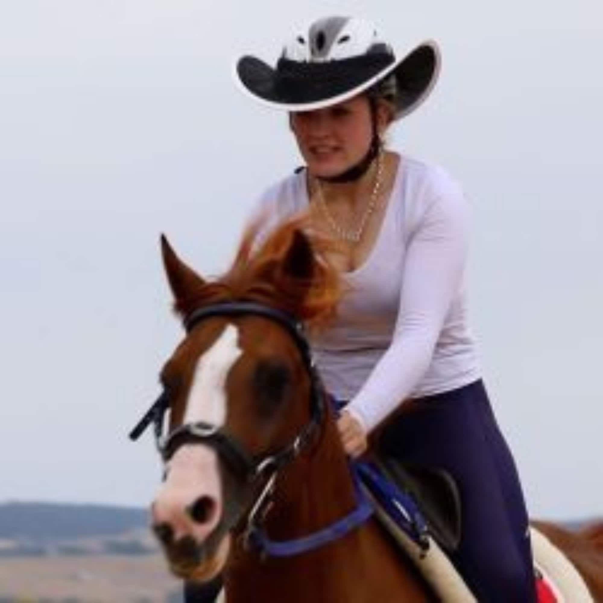 Horse Riding Standard Helmet Brim Sun Visor Shade All Black - Etsy