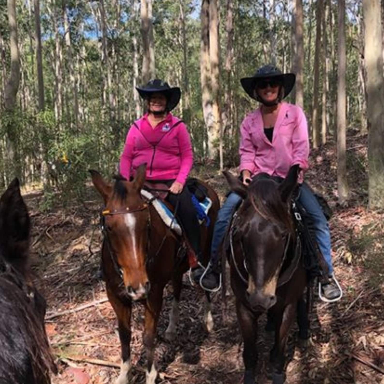 Horse Riding Standard Helmet Brim Sun Visor Shade All Black - Etsy