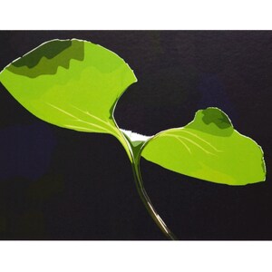 Postcard "Sheet from Below" 100% Recycling Paper A6 Illustration Card Summer Forget-Me-Not Garden Plant Nature