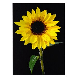 Postcard Sunflower 100% Recycling Paper A6 Illustration Card Summer Sunflower Sun