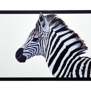 Postkarte Zebra Fohlen 100% Recycling Papier A6 Illustration Karte Safari Süd Afrika Schwarz-Weiß Tiere Kinder