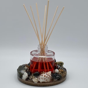 May include: A clear glass diffuser bottle with red liquid and wooden sticks, sitting on a round base decorated with seashells.