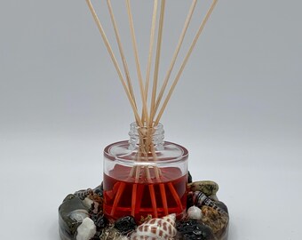 Coastal Reed Diffuser: Apple Cinnamon Scent with Beach Stone Seashell Decor