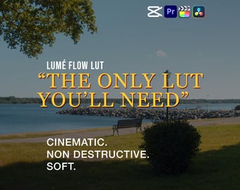 Soft & Cinematic LUT - The only one you'll need