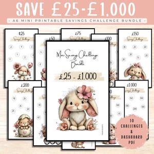 Mini-sparutmaningspaket – Spara 25–1000 utskrivbara Cash Fill-utmaningar, A6-budgetpärminlägg, Whimsical Bunny UK