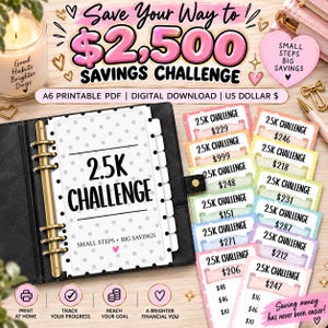 Pode incluir: Um kit de desafio de poupança com um fichário preto e uma folha interna de bolinhas brancas rotulada 2.5K CHALLENGE. Inclui vários cartões imprimíveis coloridos com valores em dólares, uma vela e acessórios de papelaria dourados para controle.