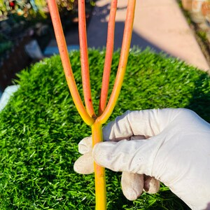 May include: A gardening tool with five slender, orange-red tines, held by a gloved hand. The tool has a yellow base and is set against a backdrop of green artificial turf and a sunny outdoor setting. The tool appears to be a small garden fork.