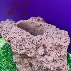 Natural Lava Rock Planter: Succulent & Air Plant Pot