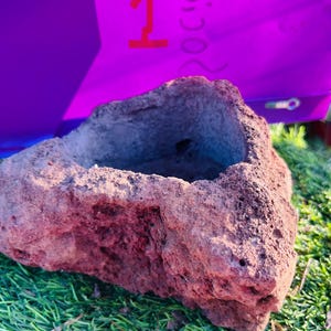 Natural Lava Rock Planter: Succulent & Air Plant Pot
