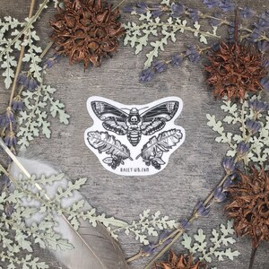 DEATH ES HEAD HAWKMOTH 2,5" Matte Wetterfeste Vinyl Aufkleber