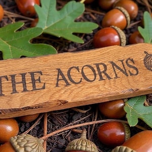 Pode incluir: Uma placa de madeira com o texto "THE ACORNS" e uma ilustra&ccedil;&atilde;o de bolota. A placa &eacute; rodeada por bolotas e folhas verdes de carvalho. As bolotas s&atilde;o castanhas com tampas verdes.
