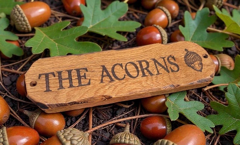 Pode incluir: Uma placa de madeira com o texto "THE ACORNS" e uma ilustra&ccedil;&atilde;o de bolota. A placa &eacute; rodeada por bolotas e folhas verdes de carvalho. As bolotas s&atilde;o castanhas com tampas verdes.