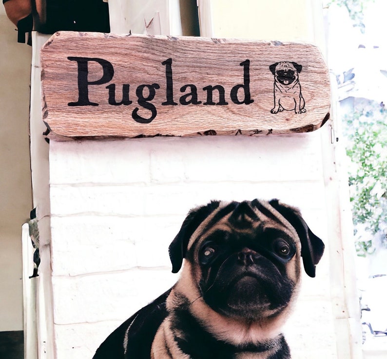 Pode incluir: Uma placa de madeira com a palavra "Pugland" e uma ilustra&ccedil;&atilde;o de um pug. Abaixo da placa, um pug com pelagem preta e castanha olha para a c&acirc;mera. A placa est&aacute; montada em uma parede de tijolos brancos.