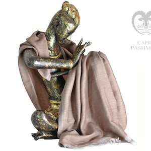 Authentischer Kamel-Schal in Pashmina • Reiner Kaschmir-Handschal •