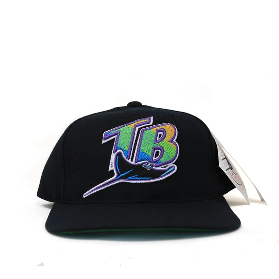 Vintage Tampa Bay Devil Rays Snapback 