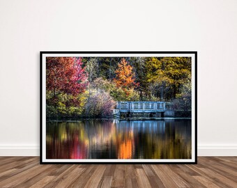 Reflexiones de otoño