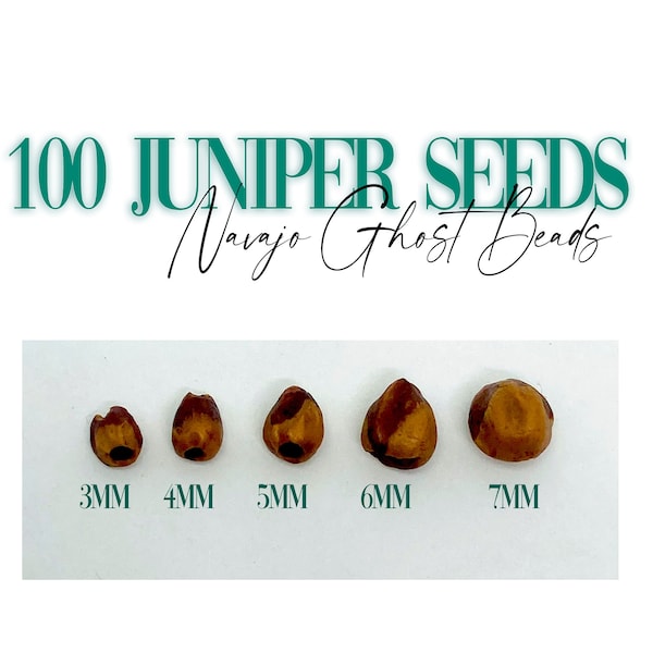 100 Juniper Seed Beads, 3mm, 4mm,  6mm, 7mm