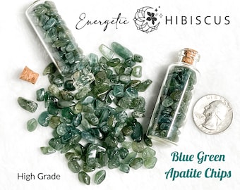 RARE Genuine Blue Green Apatite Tumbled Chips in a Mini Jar for Witchy Spells Manifesting Intentions