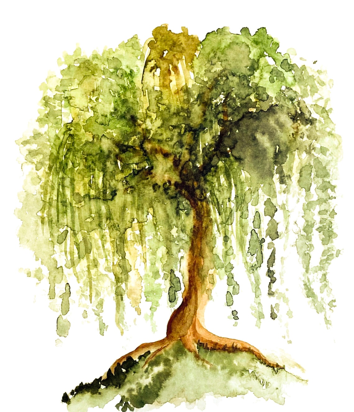 Watercolor Nature Willow Tree Digital Download Printable Etsy