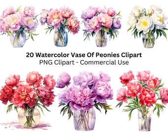 Clipart peonia acquerello, clipart peonie, floreale - PNG - uso commerciale