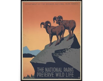 Los parques nacionales preservan la vida silvestre, 18"x24", Póster