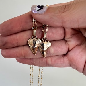 Bronze Shark Tooth Necklace