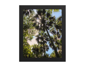 Honolulu Hawaii Wall Art, Palm Tree Print, Tropical Wall Decor, Hawaii Photography, Island Art, Beach House Decor, Hawaiian Gift