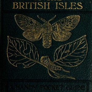 May include: A dark green hardcover book titled THE MOTHS OF THE BRITISH ISLES in gold lettering. The cover features a gold embossed illustration of a moth above two leaves and a caterpillar, with the text A HANDY POCKET GUIDE BY RICHARD SOUTH FES.