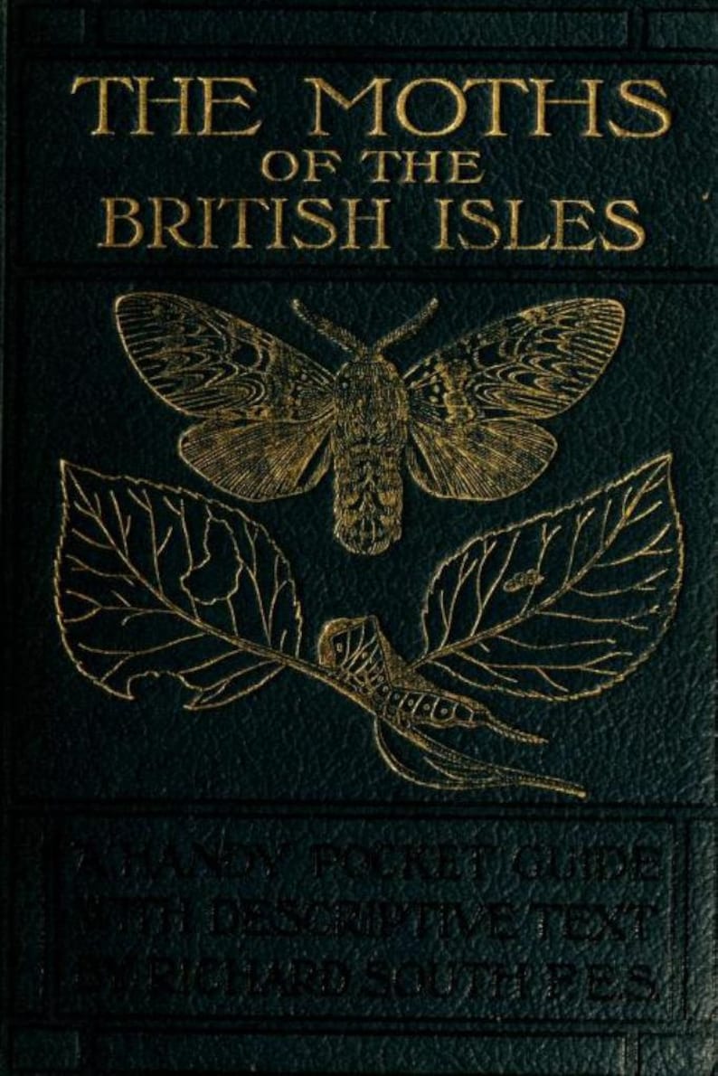 May include: A dark green hardcover book titled THE MOTHS OF THE BRITISH ISLES in gold lettering. The cover features a gold embossed illustration of a moth above two leaves and a caterpillar, with the text A HANDY POCKET GUIDE BY RICHARD SOUTH FES.