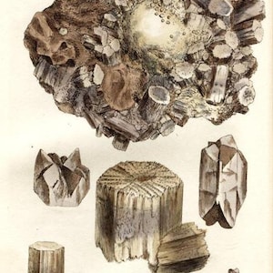 May include: A detailed illustration of a cluster of brown and white crystals. The illustration shows the crystals in various shapes and sizes, including a large cluster, a smaller cluster, and several individual crystals. The crystals are depicted in a realistic style, with intricate details of their facets and textures.