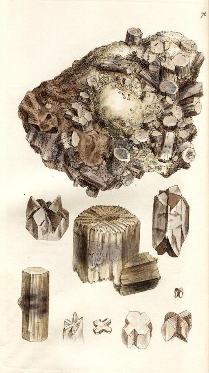 May include: A detailed illustration of a cluster of brown and white crystals. The illustration shows the crystals in various shapes and sizes, including a large cluster, a smaller cluster, and several individual crystals. The crystals are depicted in a realistic style, with intricate details of their facets and textures.