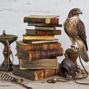 May include: A stack of seven antique, leather-bound books with weathered spines and gold-gilded edges. Beside the books stands a brown and white hawk perched on a wooden stand, accompanied by a dark brown leather falconry hood and a feathered lure.
