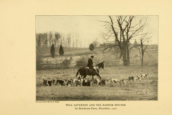 Fox Hunting 177 Rare Vintage Books England Traditions History Horses Hounds  Famous Hunts Horn PDF Book Collection Download -  Ireland