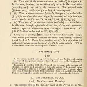 May include: A page from a linguistics textbook titled The Verb, numbered 118, featuring black printed text on a white background. The content details grammatical rules for strong and weak verbs, including sections 41, 42, and 43, with Hebrew characters.