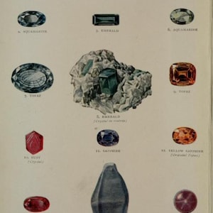 May include: A chart showing different types of gemstones, including diamond, emerald, ruby, sapphire, topaz, and aquamarine. The chart includes both cut and uncut gemstones.