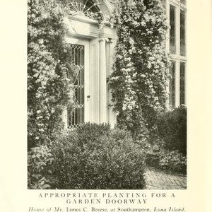 May include: A white door with a glass panel and a white frame is surrounded by lush green foliage. The door is set in a brick wall and has a white column on either side. The text "APPROPRIATE PLANTING FOR A GARDEN DOORWAY" is below the image.