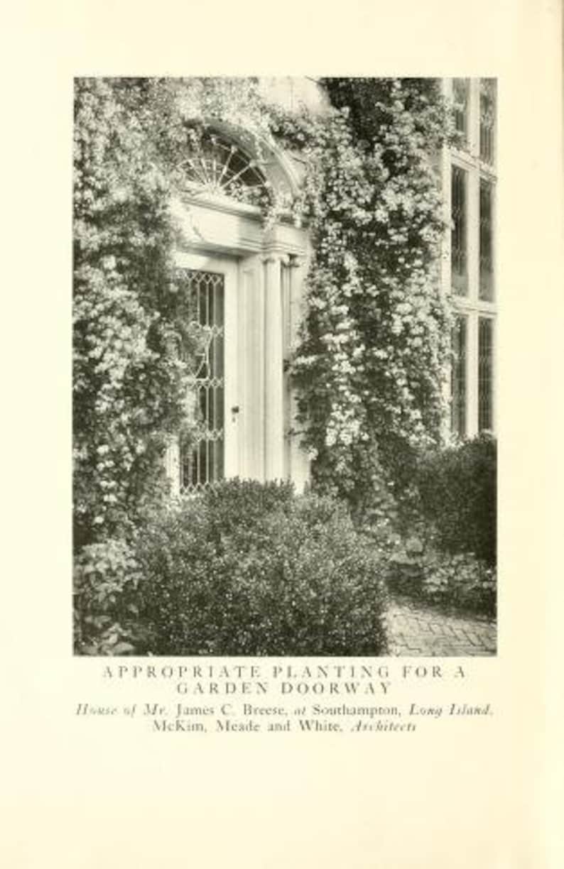 May include: A white door with a glass panel and a white frame is surrounded by lush green foliage. The door is set in a brick wall and has a white column on either side. The text "APPROPRIATE PLANTING FOR A GARDEN DOORWAY" is below the image.