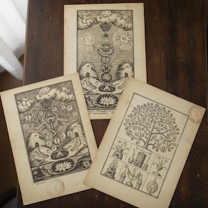 570 zeldzame occulte boeken | Collectie De geheimen van alchemie en occulte chemie | Directe pdf-download | Occultisme: hekserijfilosofie afbeelding 10