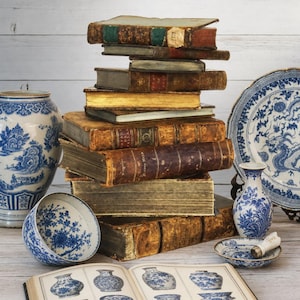 May include: A stack of antique leather-bound books with gold-gilded edges, surrounded by blue and white porcelain items including a large vase, a bowl, a small plate, a narrow vase, and an open book displaying illustrations of various vases.