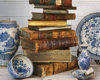 Op de afbeelding: Een stapel antieke, in leer gebonden boeken met goudkleurige randen, omringd door blauw-witte porseleinen voorwerpen, waaronder een grote vaas, een kom, een klein bordje, een smalle vaas en een open boek met illustraties van diverse vazen.