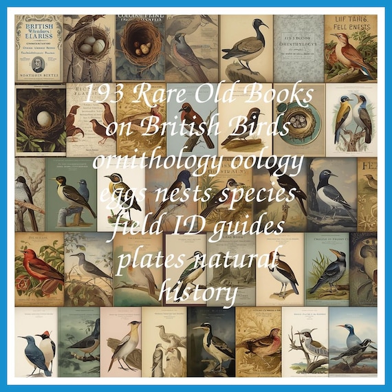 193 Rare Old Books on British Birds ornithology oology eggs nests species field ID guides plates natural history - Instant PDF Download