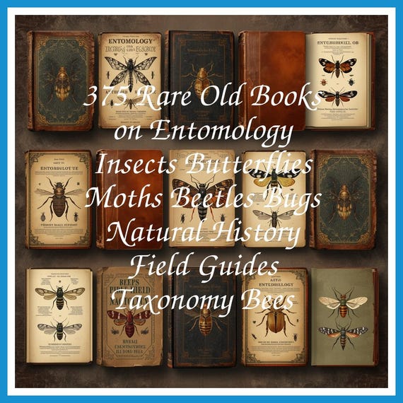 375 Rare Old Books on Entomology Insects Butterflies Moths Beetles Bugs Natural History Field Guides Taxonomy Bees - Instant PDF Download