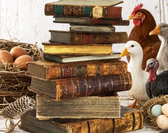 May include: A vertical stack of nine antique, weathered books with worn leather and cloth covers in shades of brown, gold, and green. Beside the books are a bird's nest with brown eggs, a brown chicken, a white duck, a goose, and a turkey.