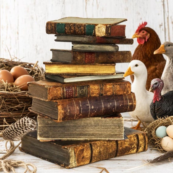 239 Rare Old Books on Chicken Keeping And Poultry Hens Ducks Geese Turkeys Coops Breeds Eggs Incubation Collection | Size 2.0 GB